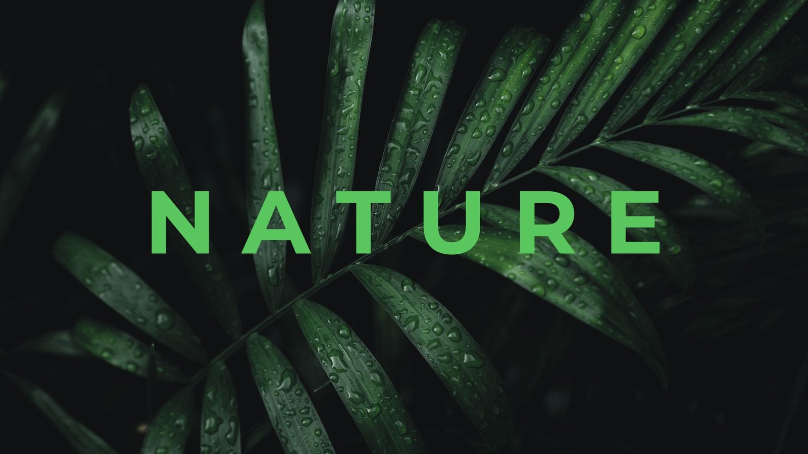 Green-Modern-Nature-Presentation10