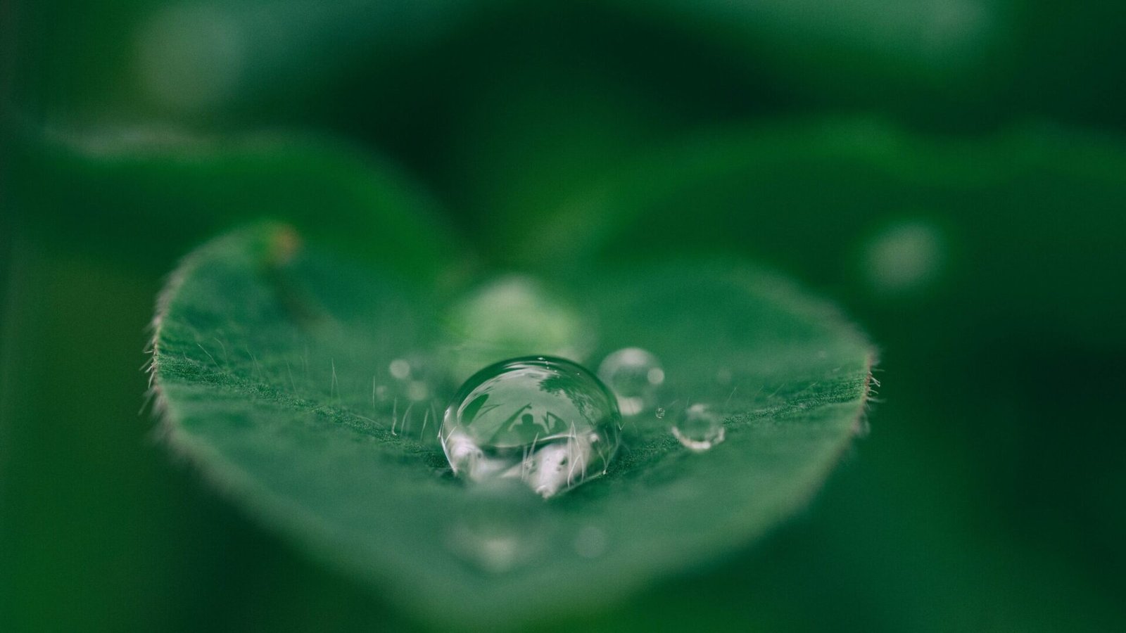 aaron-burden-dXYE1d08BiY-unsplash-scaled-1